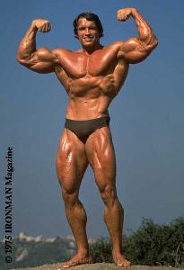 Arnold Schwarzenegger  Bodybuilding